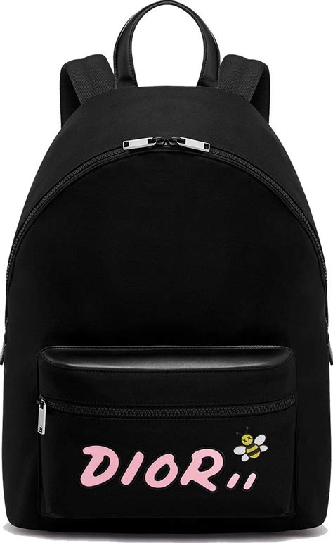 kaws dior bag